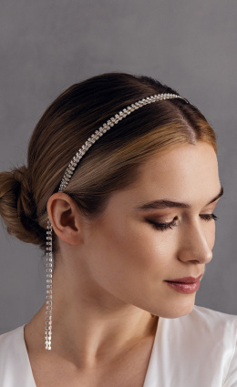 Silver Shine